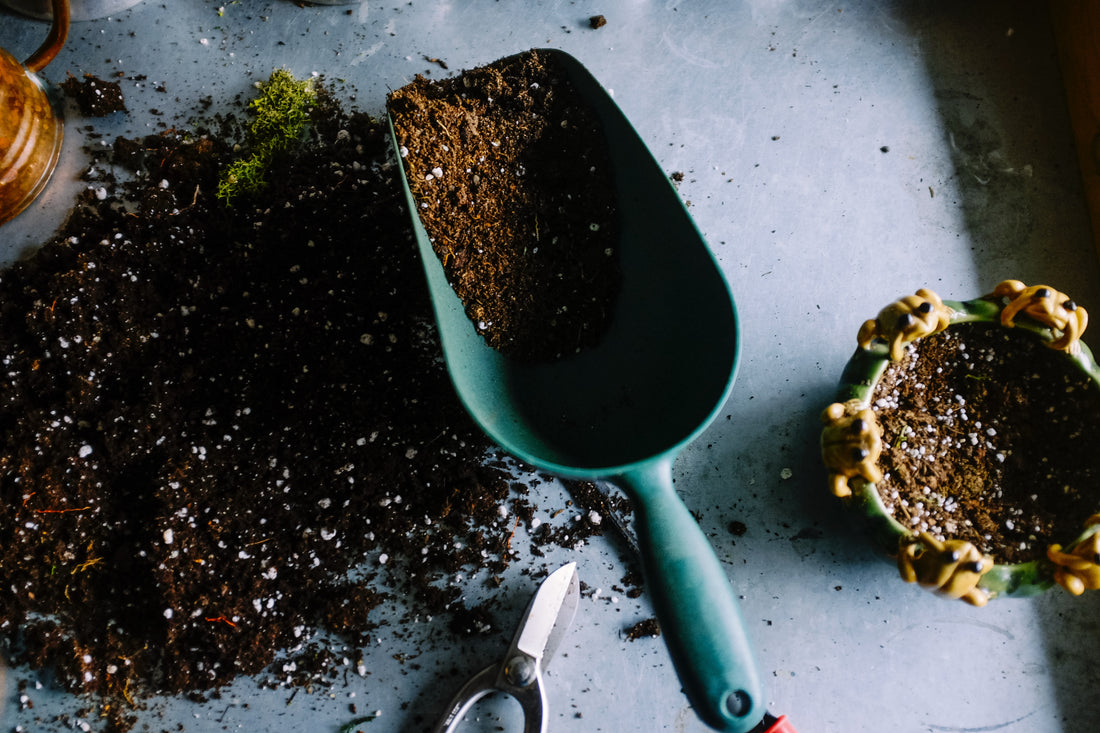Advancing Recycling & Compostable Plastics: