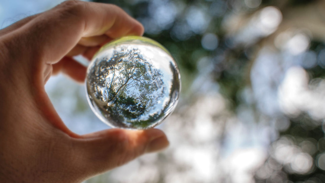 Biodegradable Plastics: Clean And Green? Read To Find Out