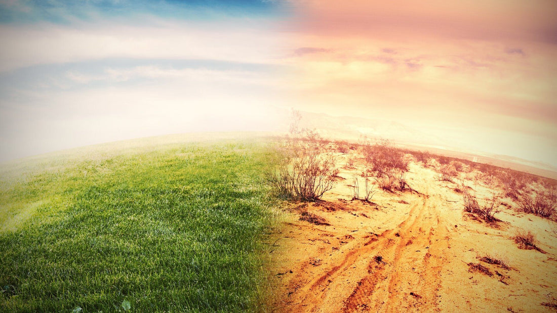 Bioplastics And Biodegradable Plastic: The Breakdown