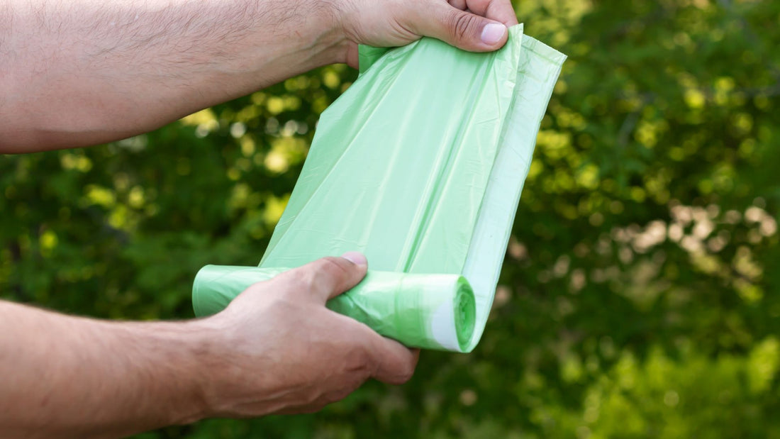 Going Green – The Rise Of Environmentally Eco-Friendly Products