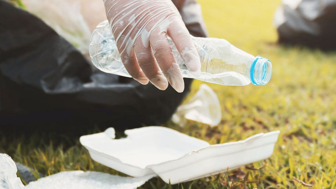 The Major Types Of Litter (And What You Can Do About It)