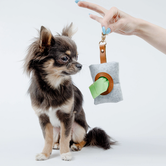 Sustainable Dog Waste Management – Composting Pet Poo