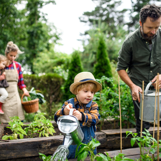 Sustainable Living in Urban Environments
