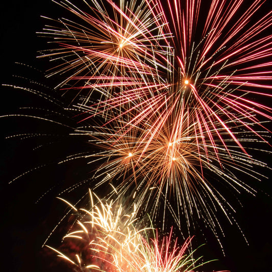 New Year Resolutions – Become An Eco-Friendly Family