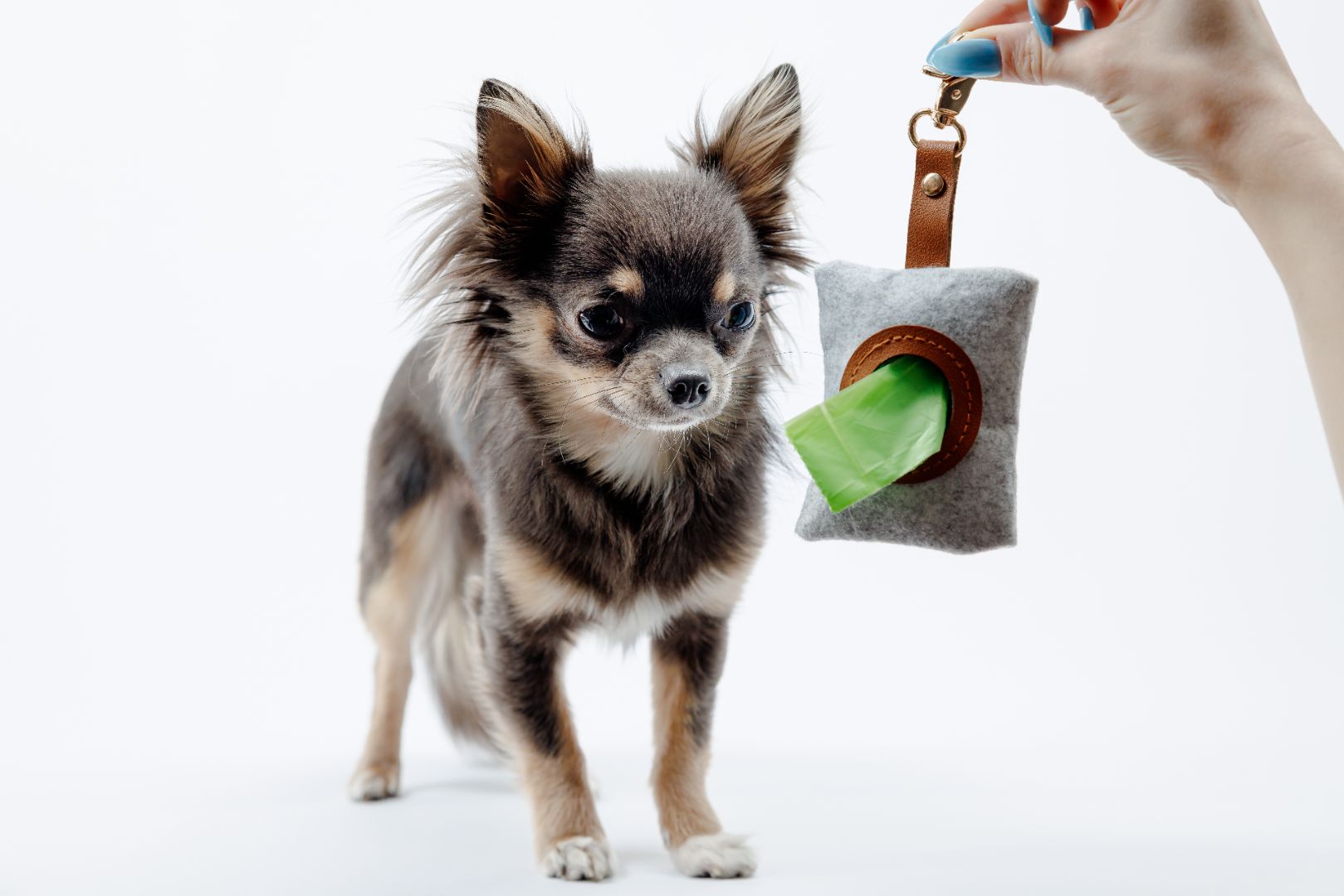 Dog Waste Refill Bags-  Loose Rolls- Carton Of 200 Rolls