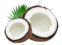 Coconut Oil Sheets
