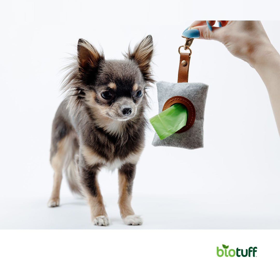 Dog Waste Dispenser 314 Grade Stainless Steel Powder Coated Green