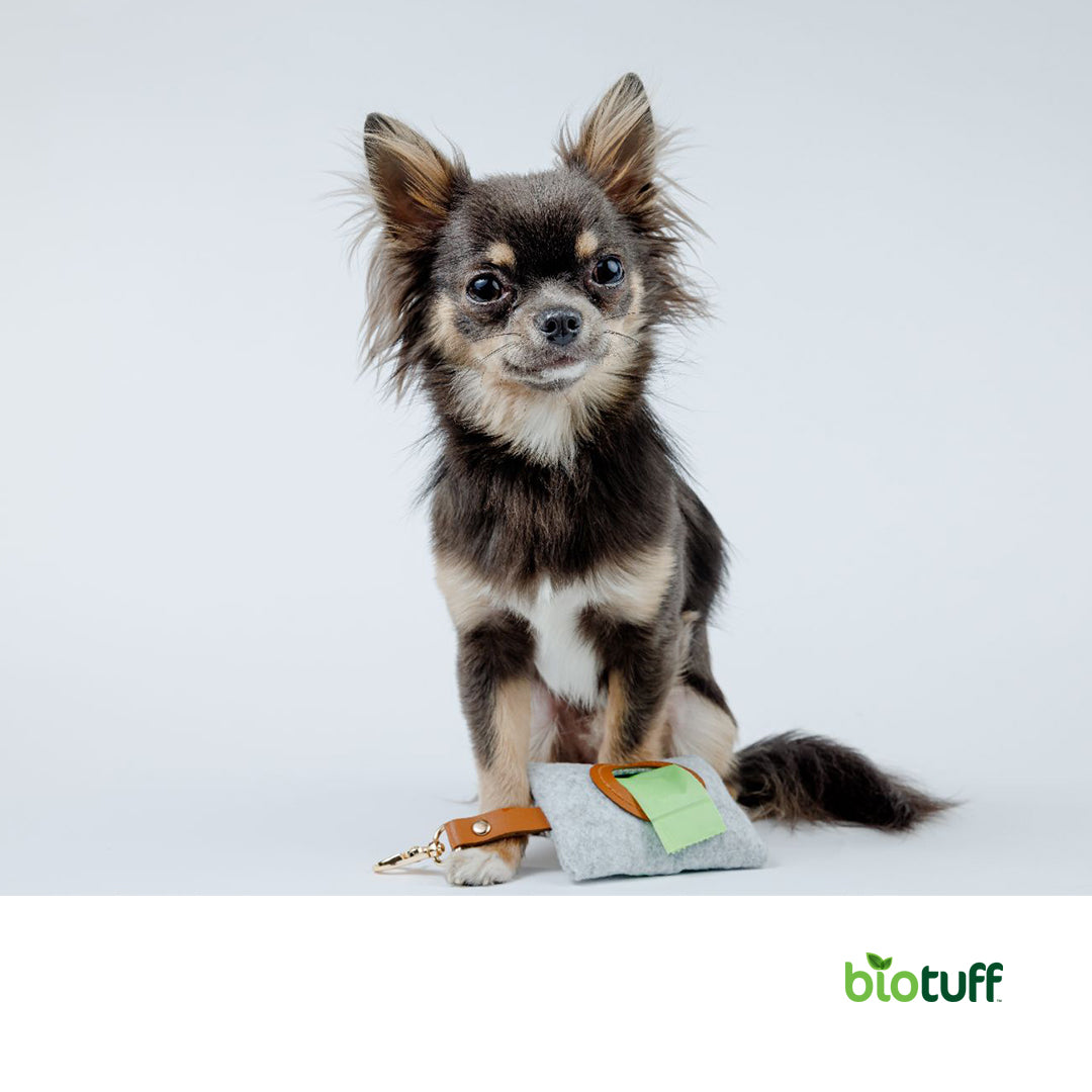 Council Dog Waste Dispenser Pole (Recyclable)