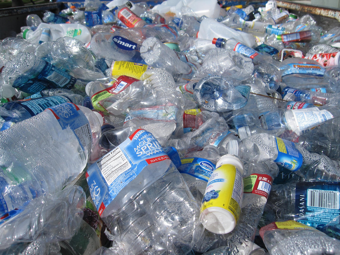 How Can Biodegradable Plastics Be Disposed of Safely?